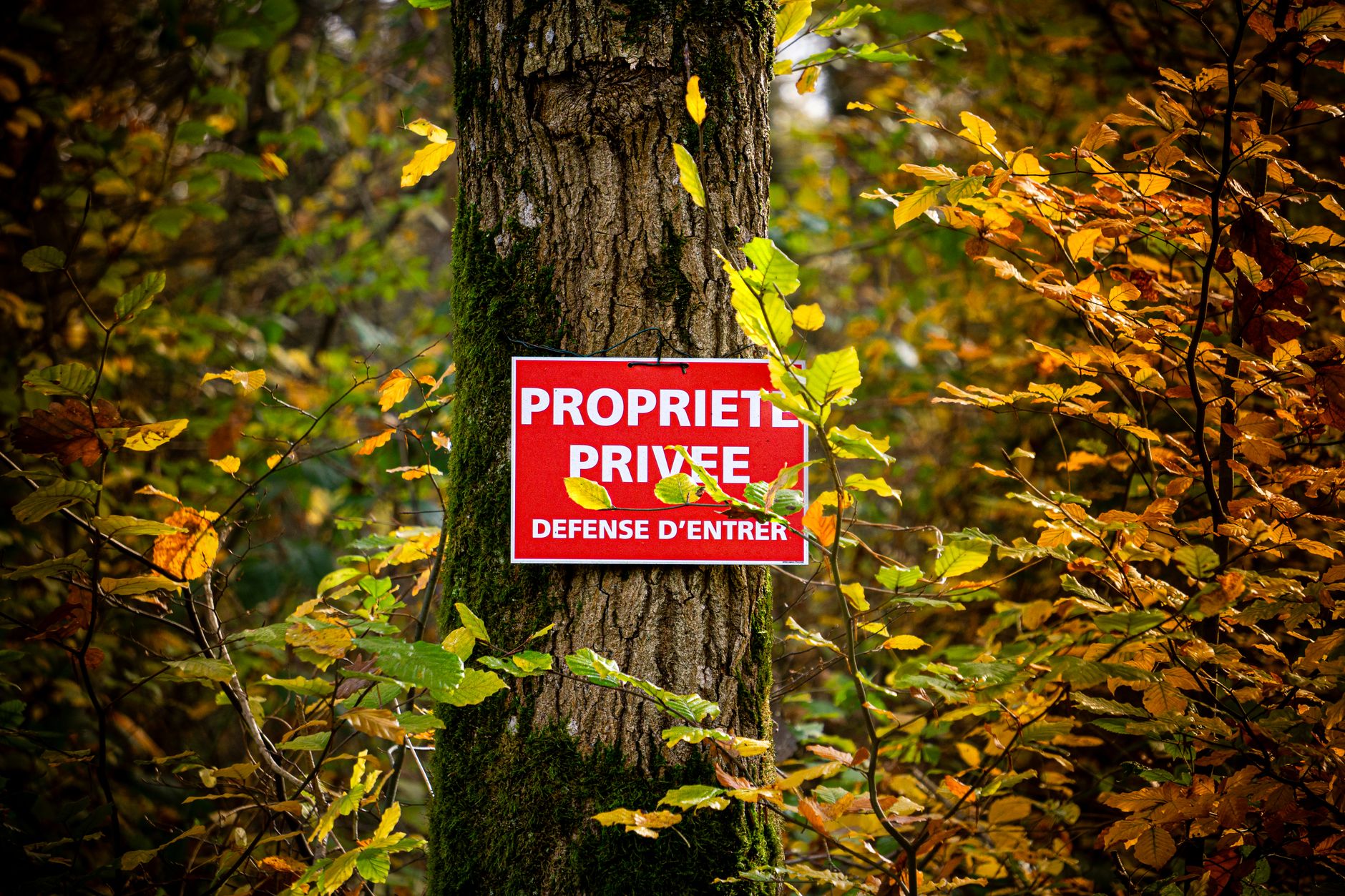 détective privé Hérault